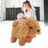 Asixxsix Plush Puppy, Walking Barking Tail Wagging Electronic Interactive Toys for Kids, Realistic Plush Teddy Toy Puppy, Electronic Interactive Dog for Children Above 3 Years Old (Brown) view 2