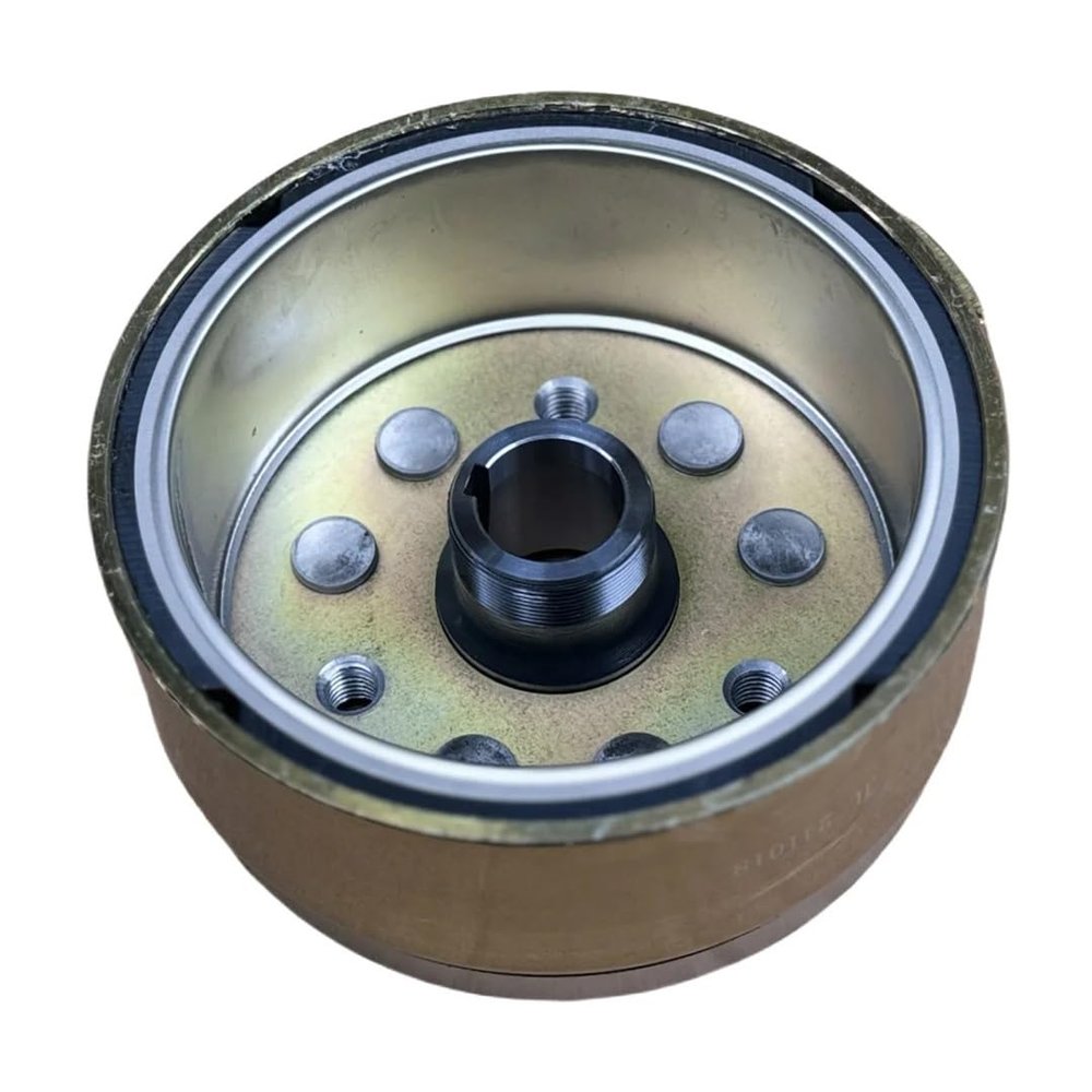 Magneto Rotor Suitable for JS250 LX250 RT250 LD250 Replacement parts