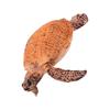 Abaodam Lifelike Mini Turtle Plastic Wildlife Model for Educational Garden Decoration Realistic Sea Turtle Figurine for Boys view 1