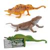 Abaodam Realistic Chameleon Lizard Model for Educational with Fine Craftsmanship Cognitive Learning Animal Figurines for Boys and Home and Garden Decoration view 3