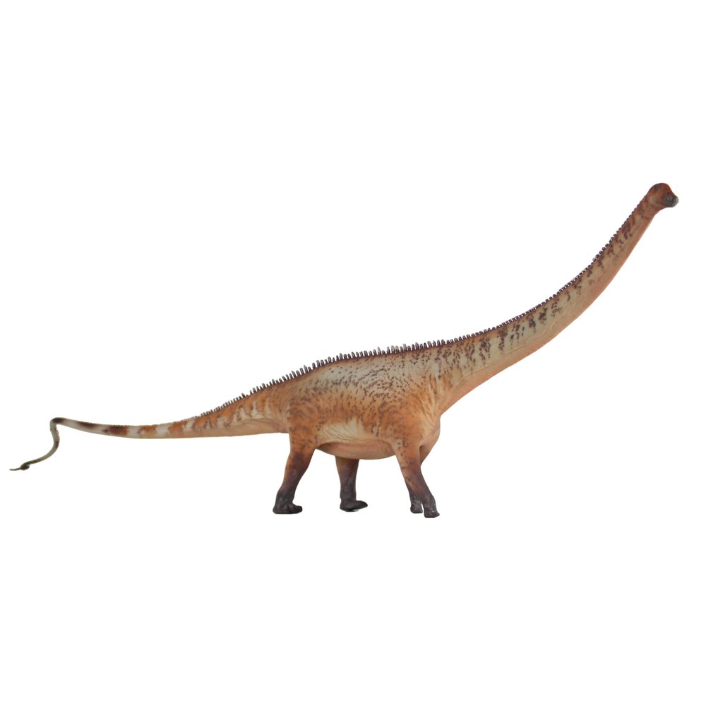 HAOLONGGOOD New Diplodocus 135 Science and Art Model (Meng Kang)