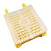 Queen Rearing System Kit King Cultivating Box Plastic Bee Cells Cups Notkit view 3