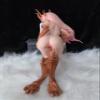 13.78in Companion Doll for Adult Collectors | Lifelike Silicone Figure | Discreet Packaging & 18+ Only view 1