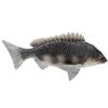 Beaupretty Realistic Fish Model Solid Animal Figurine Educational Cognitive for Decorative Aquarium Ornament view 1