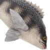 Beaupretty Realistic Fish Model Solid Animal Figurine Educational Cognitive for Decorative Aquarium Ornament view 3