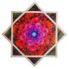 BVCY Flowsar UV Glow Flow Star Solar & Light Charging Juggling Toy Dual-Sided Print Easy for Beginners Red&Green (R06-style1) view 1