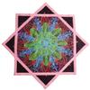 BVCY Flow SAR UV Flow Star Glow in Dark Juggling Toy Solar&Light Charging Dual Print Beginners Dapo Star Pink (R06-style6) view 4