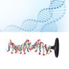 3D DNA Model, DNA Model Kit, DNA Structure Model Plastic Educational Double Helix DNA Model Unique Design Ideal for Biology Teaching view 3