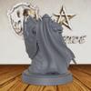AUSPDICE Unpainted TTRPG Minis for Role Playing & Fantasy Tabletop RPG Game - 28mm Scale Miniature Figure for Dungeon Masters, Human Miniatures Gaming RPG Accessory - Elf Paladin (AS224) view 4