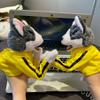 2Pcs Dog Hand Puppet Kung Fu Husky Boxing Tricky Interactive Hand Puppet Soundable Plush Stuffed Toddler Uppercut Dog Husky Toys Animal Puppets view 4