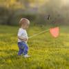LALADEFIEE Telescopic Butterfly and Catching Net with Bucket Extendable Stainless Steel Outdoor Fishing and Gathering Tool for Adults -Slip Handle Nets view 3