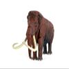1:35 Scale Action Figure Woolly Mammoth Model Animal Figure Collector view 1