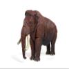 1:35 Scale Action Figure Woolly Mammoth Model Animal Figure Collector view 3