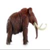 1:18 Scale Action Figure Mammuthus Primigenius Model Collector Scence Decor view 2