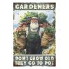 1000 PCS Wood Jigsaw Puzzles for Adults Gardening Dont Grow Old They go to Pot Puzzles for Adults Games Educational Toys Gifts view 2
