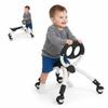YBIKE Pewi Toddler Balance Bike - Kids Ride On Toys, Baby Push Car, Toddler Walker for Ages 9 Months to 3 Yrs, Durable Walking Buddy Push Toy, Comfortable, Indoor & Outdoor, Up to 44 Lbs, Black view 1
