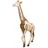 4D Giraffe Anatomy Model, Giraffe Organ Skeleton Model Half-Transparent Simulation with Fully Detachable 27 Organs and Body Parts, for Organ Body Study Skeleton Anatomy Teaching Model. view 1