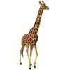 4D Giraffe Anatomy Model, Giraffe Organ Skeleton Model Half-Transparent Simulation with Fully Detachable 27 Organs and Body Parts, for Organ Body Study Skeleton Anatomy Teaching Model. view 2