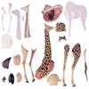 4D Giraffe Anatomy Model, Giraffe Organ Skeleton Model Half-Transparent Simulation with Fully Detachable 27 Organs and Body Parts, for Organ Body Study Skeleton Anatomy Teaching Model. view 3