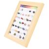 42 Mineral Sets, Rock Collection Sets, Children's Mineral and Crystal Sample Boxes, Suitable for Children and Collectors Gift Sets view 4