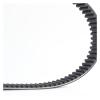 Carbon Rear Belt for T-Max530 Max560 Bc3-46241-00 view 3