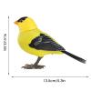 Robot Bird Electric Singing and Chirping Toy, Electric Singing and Chirping Birds Toy, Realistic Birds Toys with Natural Sounds for Trees & Patios, Wild Bird Supplies & Garden Decor view 3