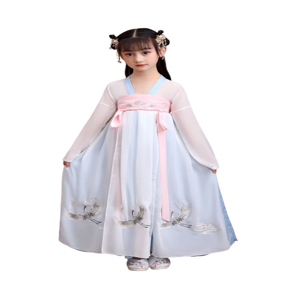 CHAGME Guzheng Hanfu for Girls Fairy Dresses Tang Suit Embroidered Skirt Chinese Style Served Ru Performance Clothing