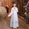 CHAGME Guzheng Hanfu for Girls Fairy Dresses Tang Suit Embroidered Skirt Chinese Style Served Ru Performance Clothing view 3