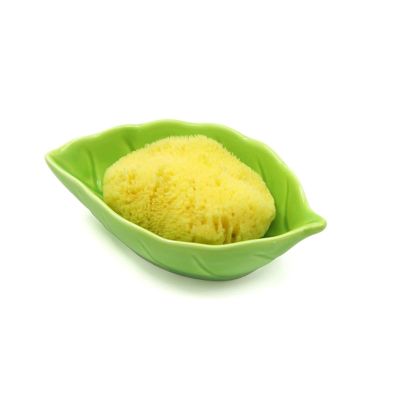 LLTCMAOYI Montessori Cleaning Sponge, Natural Sponge, for Cleaning Leaves