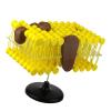3D Lipid Bilayer Model for Teaching, Bilayer Cell Membrane Structure Teaching Model Fluid Mosaic Model for School Lab Demonstration view 2