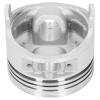 190FB Piston Kit, y Piston Set for Air, Tem lacement Kit with, Pin and Cir, strial Access view 4