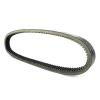 Toothed Drive Belt Transmission Belt Drive Belt for Argo for Conquest 6X6 8X8 for Response 8X8 for Bigfoot 6X6 570Cc for Vanguard 6X6 480Cc 2000-2007 view 4