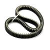 Transfer Belts for Sym for Gts300 for Joymax300I for Gts for Joymax 300Cc 23100-L3A-0002 4T CVT Drive Belt Engine Scooter Transmission Drive Belt view 3