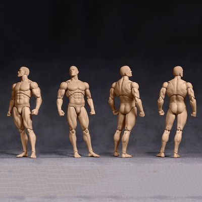 1/12 Scale Strong Muscle Male Action Figure, Bodybuilding Man Figure Body 6 inches Flexible Fitness Male Aciton Figure Model with Detachable Various Hands Shapes & Body Accessories (Normal skin)