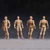 1/12 Scale Strong Muscle Male Action Figure, Bodybuilding Man Figure Body 6 inches Flexible Fitness Male Aciton Figure Model with Detachable Various Hands Shapes & Body Accessories (Normal skin) view 1