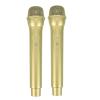 HEANUJJ 2pcs Microphone Prop for Kids: Halloween Pretend Play Toy - Fake Plastic Mic - Simulate Speech Practice Fake Mic for Christmas Karaoke Costume Birthday Party (Gold) view 1