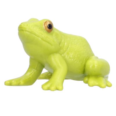 Aqur Mini Simulation Animal Model Toy, Plastic, Educational Play, Ages 3+, Colorful Design
