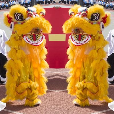 10 in Lion Dance Mascot Costume Chinese Traditional Dragon and Lion Dance for 125cm-155cm Height Party Carnival Festivall New Year, Halloween and School Events(Yellow,Large size)