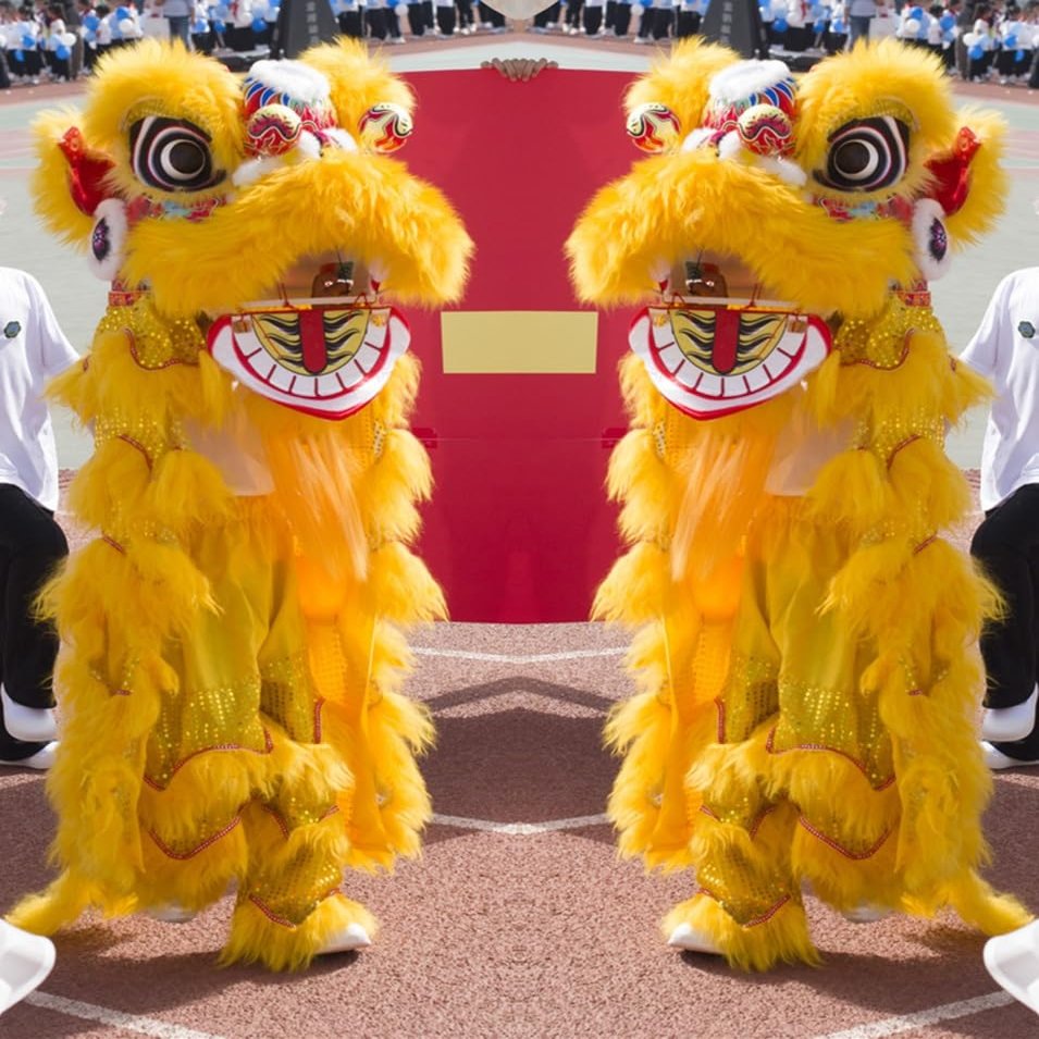 10 in Lion Dance Mascot Costume Chinese Traditional Dragon and Lion Dance for 125cm-155cm Height Party Carnival Festivall New Year, Halloween and School Events(Yellow,Large size)