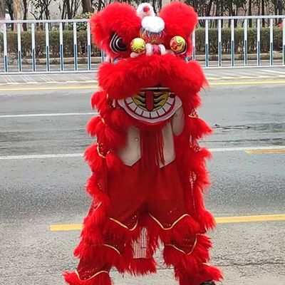 10 in Lion Dance Mascot Costume Chinese Traditional Dragon and Lion Dance for 125cm-155cm Height Party Carnival Festivall New Year, Halloween and School Events(Red,Small size)