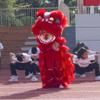 10 in Lion Dance Mascot Costume Chinese Traditional Dragon and Lion Dance for 125cm-155cm Height Party Carnival Festivall New Year, Halloween and School Events(Red,Small size) view 3