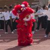 10 in Lion Dance Mascot Costume Chinese Traditional Dragon and Lion Dance for 125cm-155cm Height Party Carnival Festivall New Year, Halloween and School Events(Red,Small size) view 4