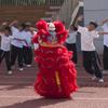 10 in Lion Dance Mascot Costume Chinese Traditional Dragon and Lion Dance for 125cm-155cm Height Party Carnival Festivall New Year, Halloween and School Events(Red,Large size) view 4