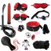 12 Piece Nylon Equipment Kit, Multifunctional Hand, Foot, Wrist, and Hip Exercise Device, Fun Dice Accessories, Portable Fitness, Couple Gift (Red) view 1