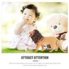 Abaodam Realistic Lion Figure for Vinyl Animal Model with Life Details Educational Plaything for Imaginative Learning and Home Decoration view 4