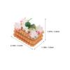 Abaodam 5pcs Artificial Biscuits Cookie Models Realistic Faux Chocolate Dessert Props for Home Kitchen Decoration and Photography Display Miniature Food view 2