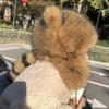 Raccoon Hat for Kids Warm & Thick Racoon Hat with Plush Furry Tail Round Top Coonskin Cap for Cold Weather Winter Costume Headwear.. Brown view 4