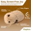 cupboo Sleep Aid Interactive AI Plush Companion Pet-Privacy-Safe Emotional Support Robot Pet, Anxiety Relief Comfort for Teens, Adults, Seniors | Ideal Gift for All Occasion (Grey) view 2