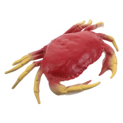BCOATH Realistic Plastic Crab Figurine for Education Lifelike Simulated Sea Animal Model for Ocean-Themed Party Decorations Aquarium Displays and Collector Decor