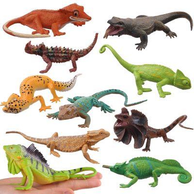 AENIMELY Realistic Lizard Toy Model, 10pcs Plastic Chameleon Figurines, Educational Reptile Prop for Kids, Cake Decoration and Teaching